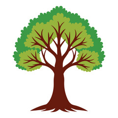 Green Leafy Tree Vector Illustration with Branches and Foliage