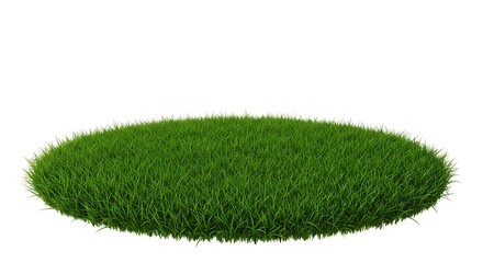 Lush Green Grass Patch Isolated White Background Natural Turf 3d lawn leaf park field plant model   