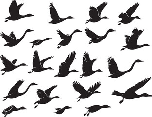 Bird Silhouette Mega Bundle | High-Quality Vector Graphics