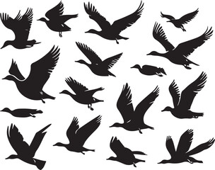 Bird Silhouette Mega Bundle | High-Quality Vector Graphics