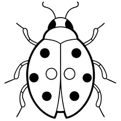 Simple Line Art Ladybug Vector