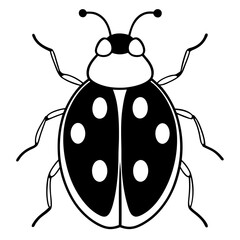Simple Line Art Ladybug Vector