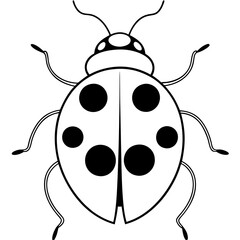 Simple Line Art Ladybug Vector