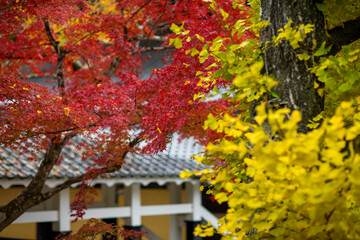 Autumn scenery of Nanzenji Temple in Kyoto, Japan