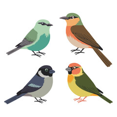 Obraz premium set of birds