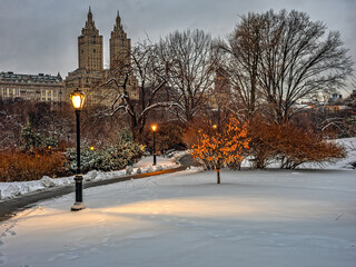 Central Park in winter , after snow storm