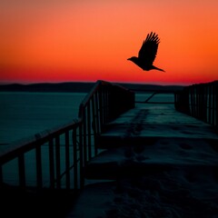 Silhouette of a Flying Bird at Sunset Over a Winter Pier