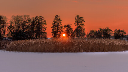 Winter Sunset Over Frozen Landscape with Tall Grass