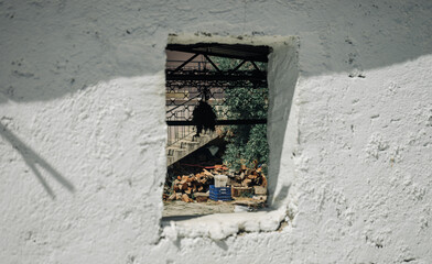 View Through a Hole in a White Wall to an Abandoned Yard