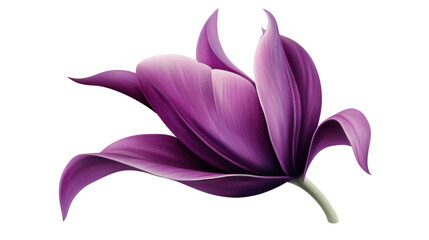 Naklejka premium Purple flower blooming with transparent background: elegance and beauty in nature