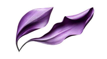 Two purple leaves flowing on transparent background