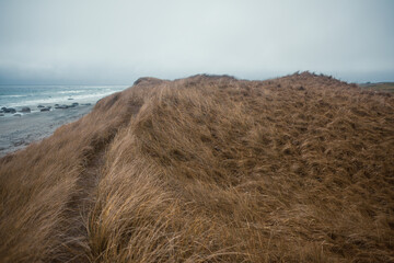 Scenic Coastal Dunes of Ogna and Brusand Beach, Norway – Windy Seashore with Golden Grass