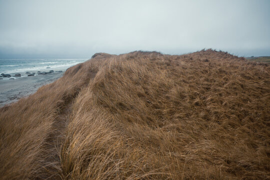 Scenic Coastal Dunes of Ogna and Brusand Beach, Norway &ndash; Windy Seashore with Golden Grass