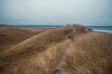 Scenic Coastal Dunes of Ogna and Brusand Beach, Norway – Windy Seashore with Golden Grass