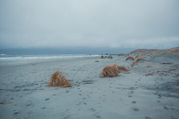 Scenic Coastal Dunes of Ogna and Brusand Beach, Norway – Windy Seashore with Golden Grass