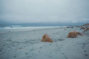Scenic Coastal Dunes of Ogna and Brusand Beach, Norway – Windy Seashore with Golden Grass