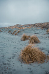 Scenic Coastal Dunes of Ogna and Brusand Beach, Norway – Windy Seashore with Golden Grass