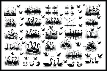 Bird Silhouette Mega Bundle | High-Quality Vector Graphics