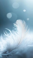 Obraz premium Soft, White Feather on Teal Background Tranquil Scene, Symbol of Delicacy and Purity, Minimalism