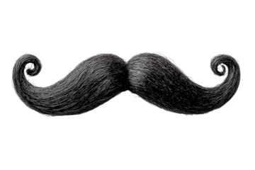 Black Mustache Curved on Transparent Background