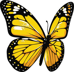 butterfly vector illustration