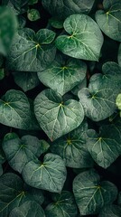 Heart-Shaped Green Leaves Background