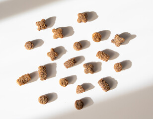 Dry pet food in sunlight, dog kibble pile, scattered puppy pellets, small canine protein croquette