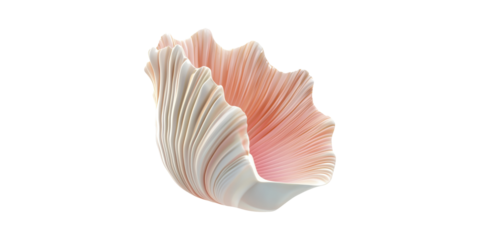 Elegant Pink Seashell. Coastal Decor And Marine Aesthetic Isolated On Transparent Background