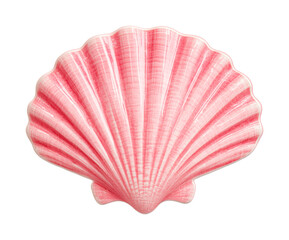 Fototapeta premium Vibrant pink seashell isolated on white background with detailed ridges, cut out