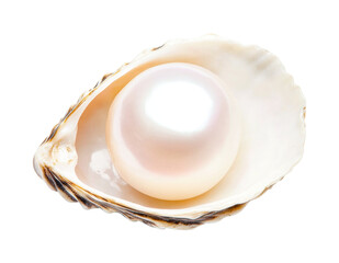 Iridescent pearl in open seashell against black background, cut out