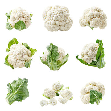 Cauliflower Set &ndash; Whole Head, Florets, and Chopped Pieces on White Background