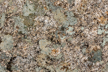 Granite rock stone texture with moss and lichen. Concept: Moss, granite, nature.