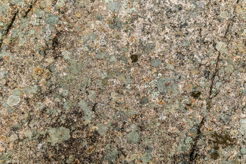 Granite rock stone texture with moss and lichen. Concept: Moss, granite, nature.