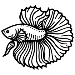 Betta Splendens Fish Sketch Drawing.