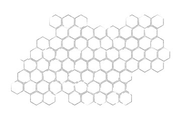 Propolis Honey comb. Honeycomb structure pattern. Honey, pollen, wax, parchment and bee products in sketch style. Stock vector illustration isolated on a white background.