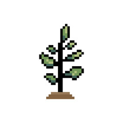 Fototapeta premium sprout plant retro pixel art