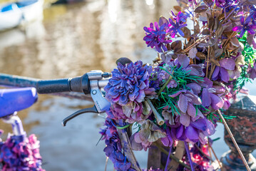 Un vélo remplit de fleur violette dans la ville de Amsterdam au Pays-Bas