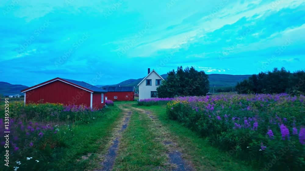 Poster walking on the path through spring fields in a rural village. pov shot