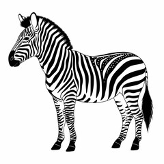 Obraz premium Vector illustration of a zebra with black and white stripes and small white dots, looking to the left with erect ears on a white background.