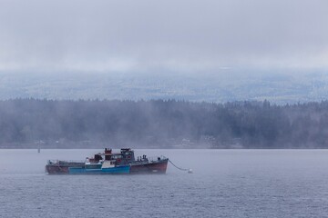 Boats tethered together in Comox Bay