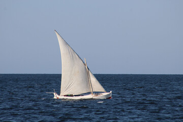 Fototapeta premium sailboat on the sea
