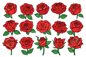 Collection of red roses in different stages of bloom, perfect for floral design and decoration.