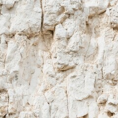 A small, vibrant bird perches gracefully on a weathered rock wall, its colorful feathers contrasting beautifully with the rough texture of the stones, surrounded by lush greenery.