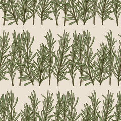 Obraz premium Sprigs of green rosemary on beige background seamless pattern hand drawn vector repeating wallpaper