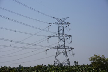 765kV transmission tower set against a clear sky and some vegetation specifically banana garden