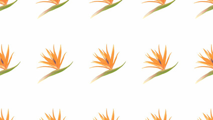 Detailed Botanical Bird of Paradise Seamless Pattern: Lush Green Stems and Petals on White Background for Natural Themed Designs - Perfect for Smart Business Applications in Vector Illustration
