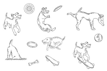 Energetic dogs enjoy playing fetch with frisbees and balls on a sunny day.