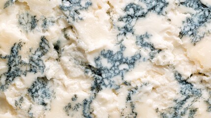 Close-up of blue mold and veined texture in cheese surface