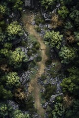 Post Apocalyptic Forest Battlemap for RPG Games – Explore Ruined Landscapes