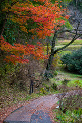 The scenery of the ancient Nakasendo Road in Nagano Prefecture, Japan